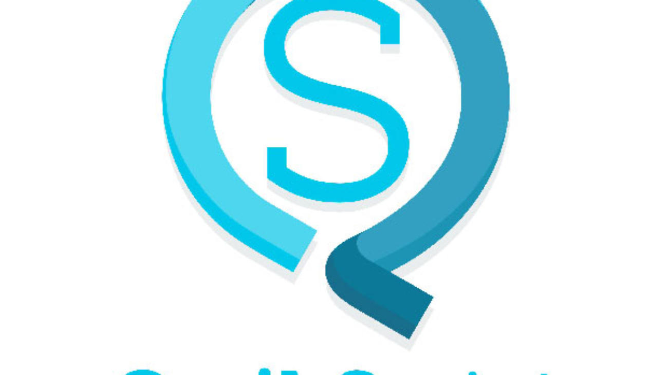 Qwik Script Logo